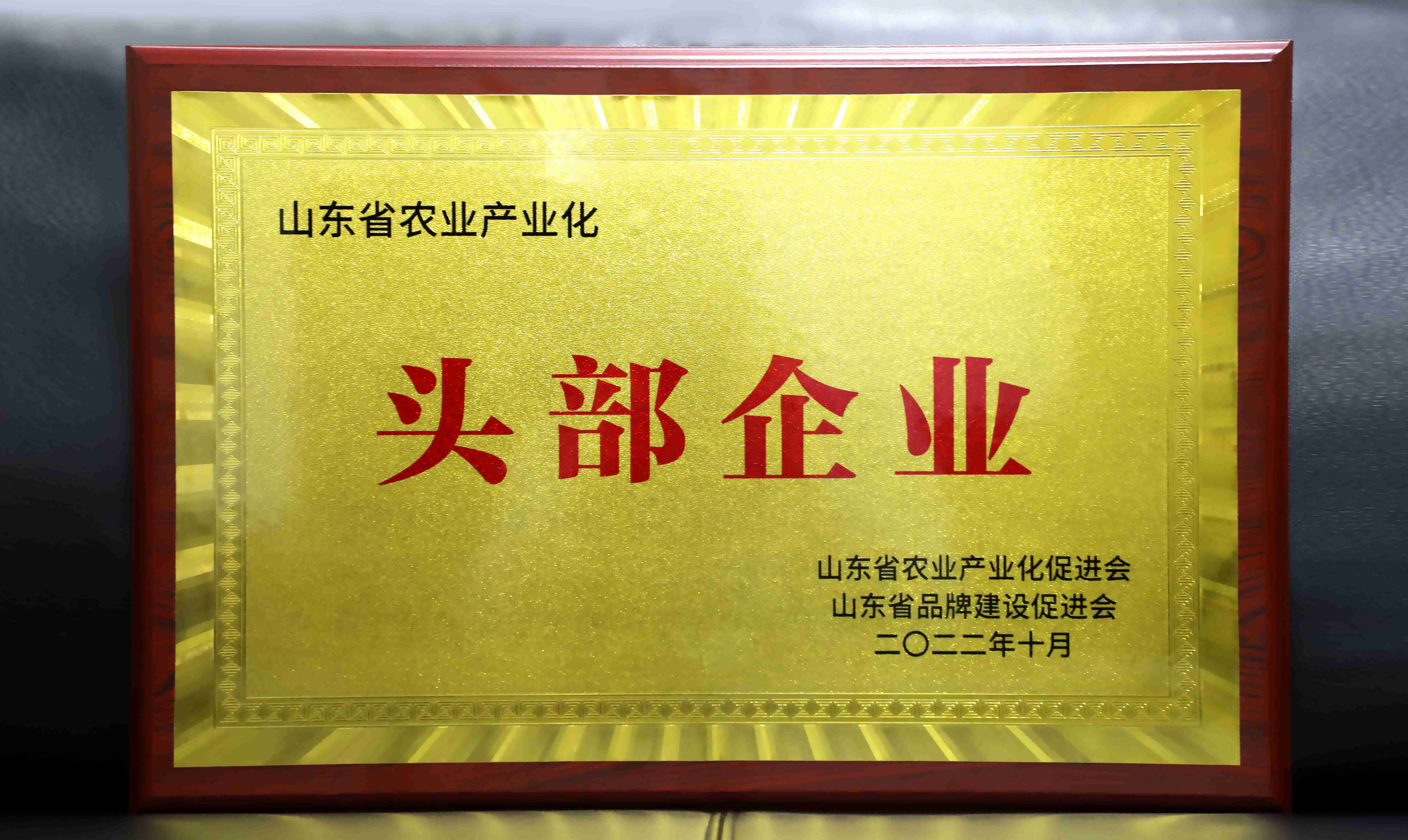 微信图片_20221118154500(2).jpg 微信图片_20221118154500(2).jpg